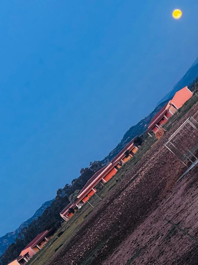 Tenute Venafiorita Loiri Porto San Paolo Zewnętrze zdjęcie